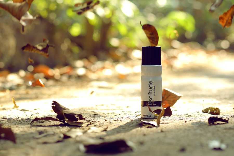 A Evolução Dos Perfumes Da Bvlgari