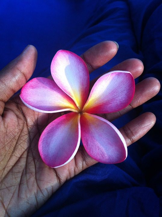 A Melhor Forma De Transportar Amostras De Perfume