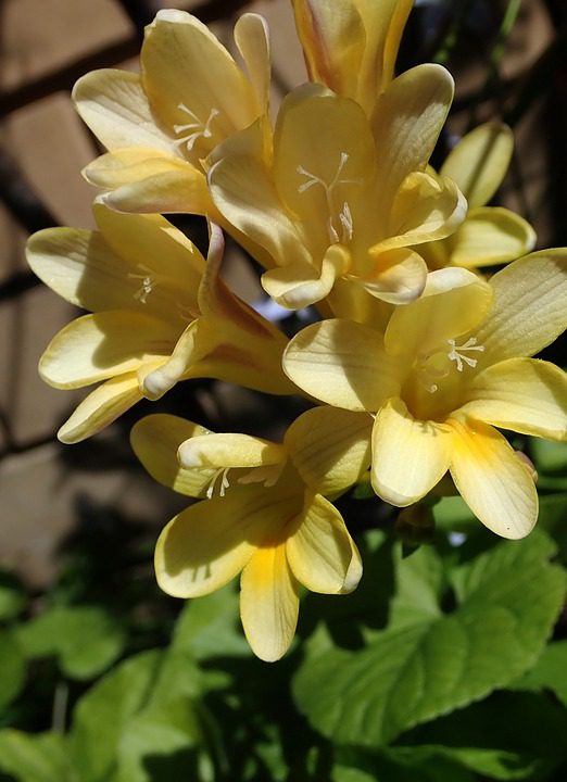 Como Escolher Perfumes Que Não Agridem A Pele