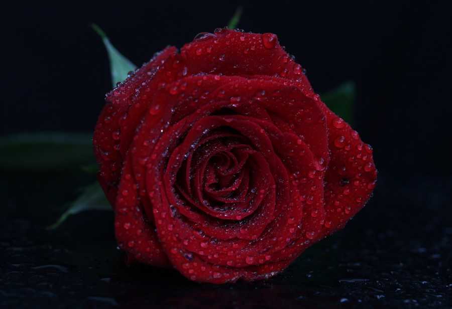 Como A Guerlain Se Tornou Um Símbolo De Luxo No Mundo Dos Perfumes