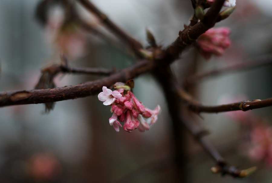 Como O Perfume Classique De Jean Paul Gaultier Marcou Uma Geração