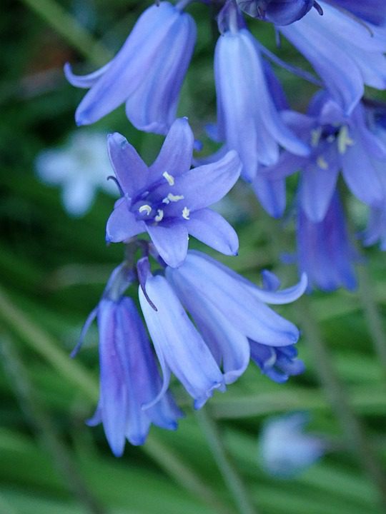 Dicas Para Evitar Que Perfumes Manchem A Pele