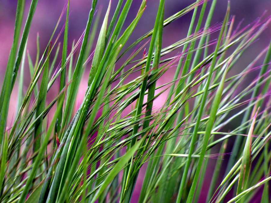 O Que Fazer Quando O Perfume Solidifica