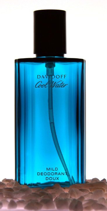 O Surgimento Do Perfume Eternity Da Calvin Klein