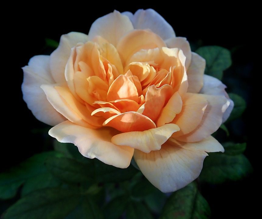 Perfumes Para Atividades Físicas: Quais São Ideais