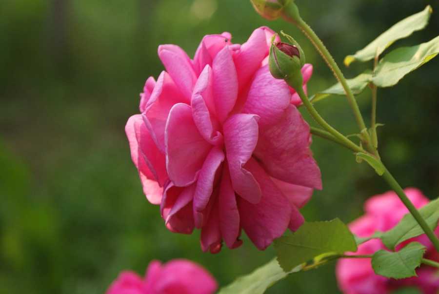 Perfumes Para Jovens: As Novidades Que Estão Fazendo Sucesso