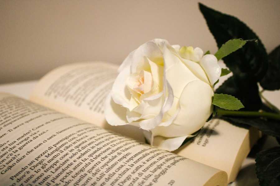 Resenha Do Perfume Angel Da Thierry Mugler