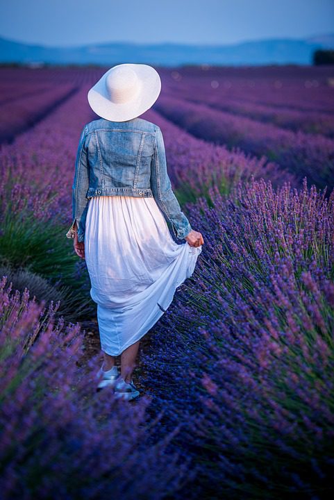 A Ascensão Dos Perfumes De Niche: Histórias De Marcas Exclusivas