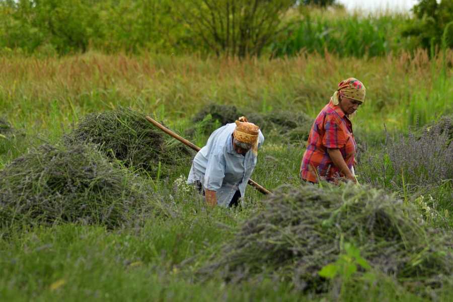Como Evitar Que Perfumes Escureçam