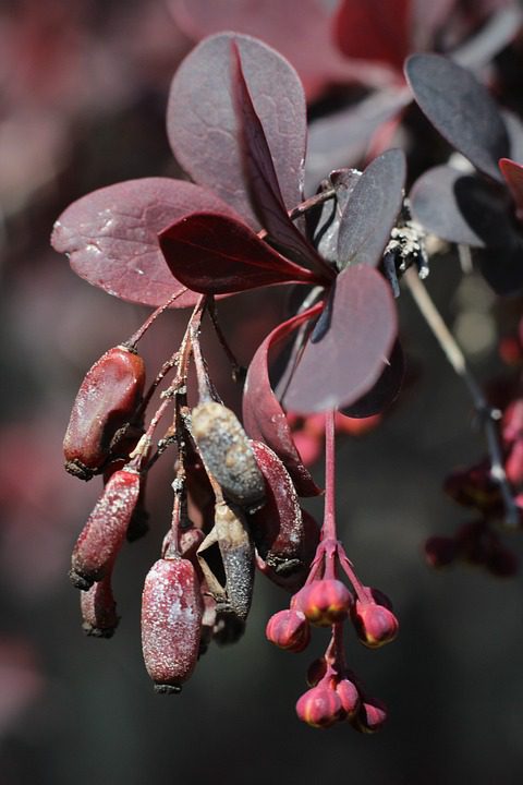 Como O Perfume Aventus Da Creed Se Tornou Um Ícone De Luxo