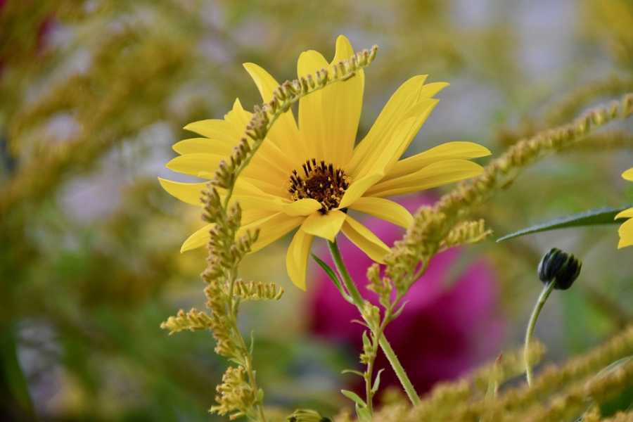 Perfumes Belgas: Qualidade E Sofisticação