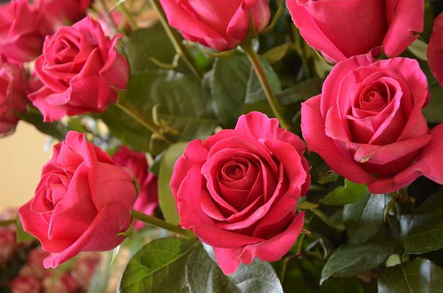 Perfumes E Terapias Holísticas: Benefícios Comprovados