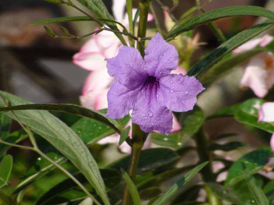 Perfumes Para Todas As Idades: Tendências Para Cada Fase Da Vida