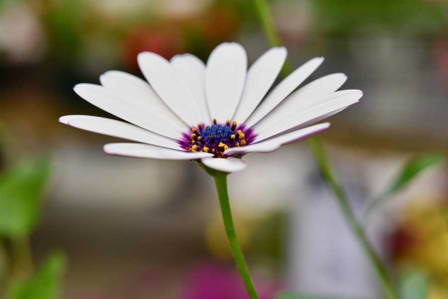 Perfumes Que Inspiram Aventuras E Viagens