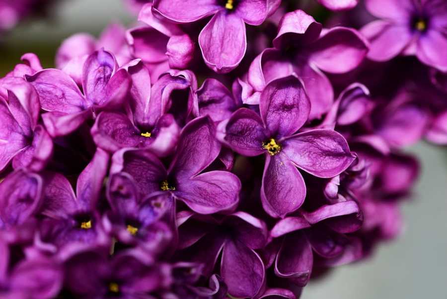 Como Escolher Perfumes para o Trabalho e Ambientes Formais