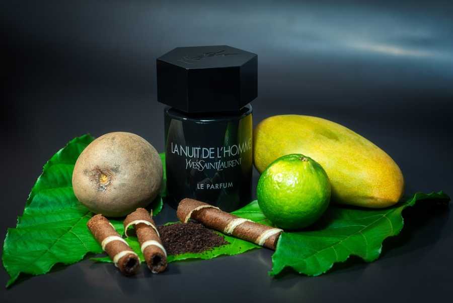 Notas Herbais: Frescor e Naturalidade nas Fragrâncias