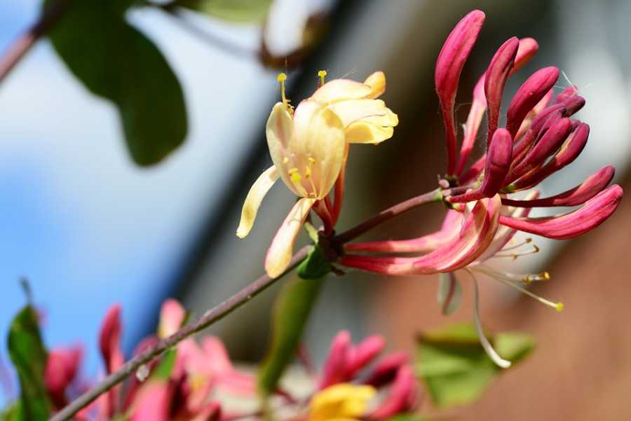 Como Escolher Perfumes de Longa Duração