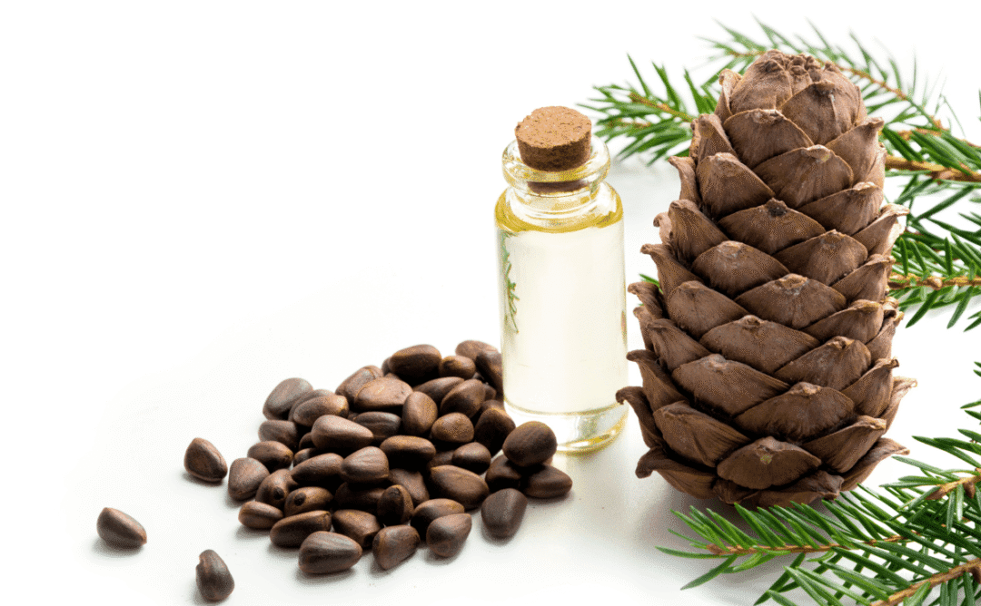 Notas De Cedro_ Robustez E Sofisticação Em Perfumes - Gold Glow